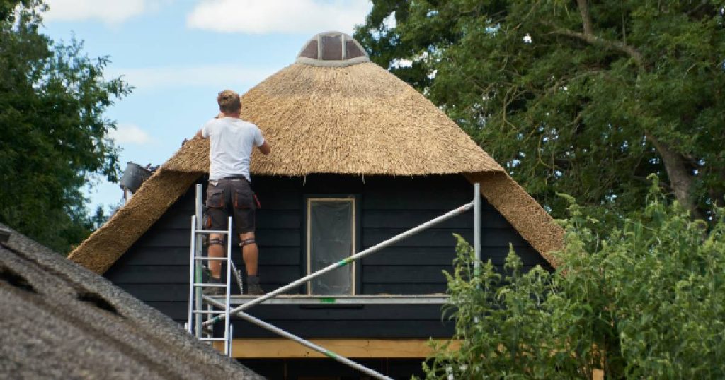 Een vakman die op een steiger staat en een rieten dak van onderhoud voorziet.